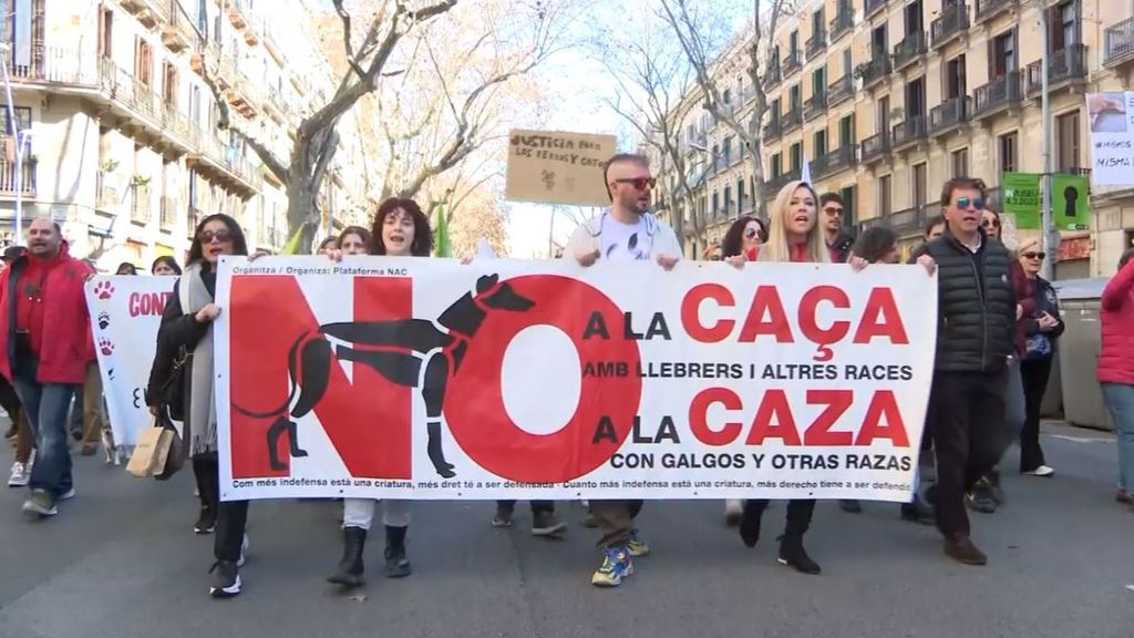 Ley de Bienestar Animal: España protesta contra la exclusión de los perros de caza