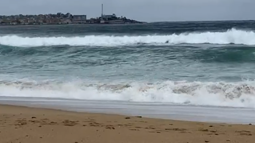 Olas de 4 metros por el temporal de frío llenan las playas catalanas de surferos