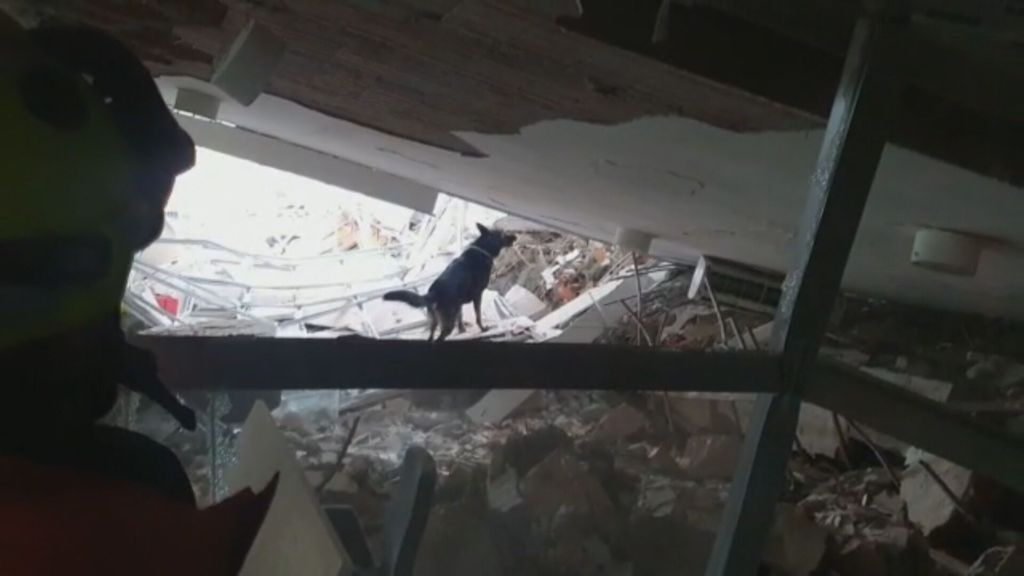 Bomberos de Zaragoza rescatan a una mujer entre los escombros del terremoto de Turquía gracias a un perro