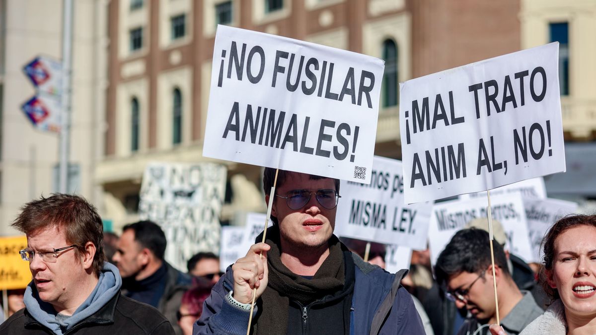 Protesta contra el maltrato animal