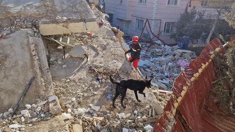 Erdogan reconoce problemas en la respuesta del terremoto los muertos superan las 12.000 personas