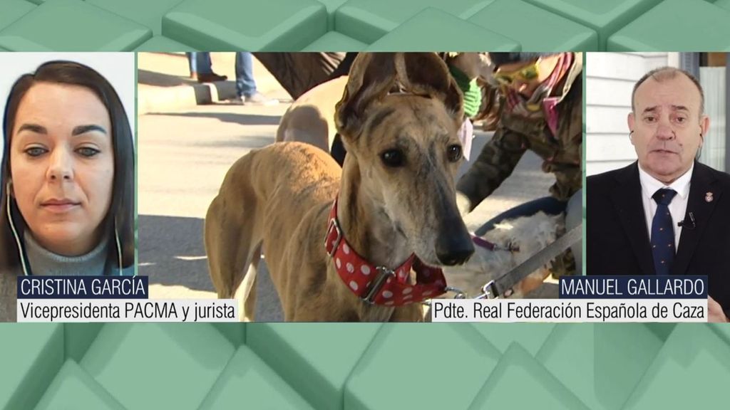 Los representantes de PACMA y caza española, enfrentados por el estado de los perros y la nueva ley animal