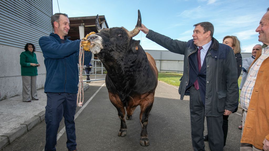 Luis Planas, ministro de Agricultura, Pesca y Alimentación, mantiene un encuentro con representantes de distintas asociaciones de ganaderos y criadores de vacuno. Sede de ASCOL (Asturiana de Control Lechero). En Gijón (Asturias), a 09/02/2023 (© Jorge Peteiro / Europa Press).