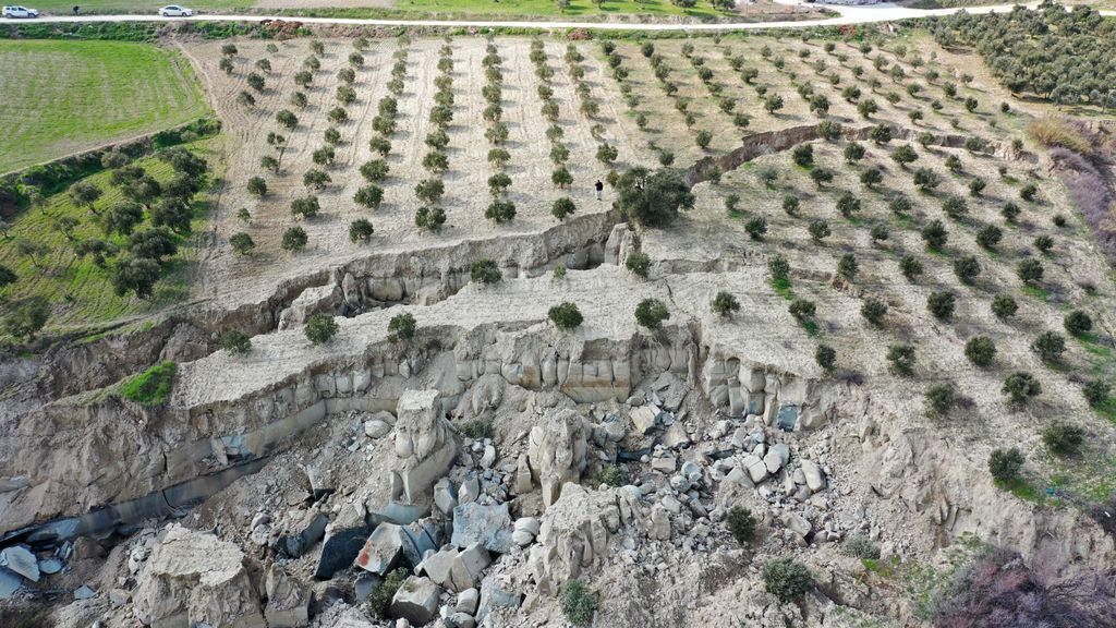 Grieta en olivar