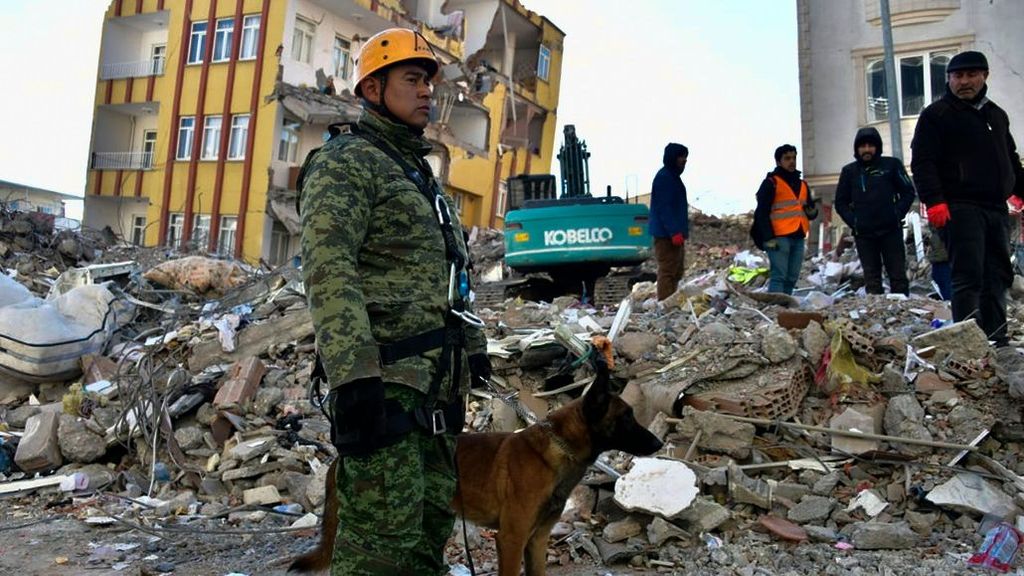 Muere Proteo, uno de los perros de rescate que participaba en la búsqueda de supervivientes de Turquía