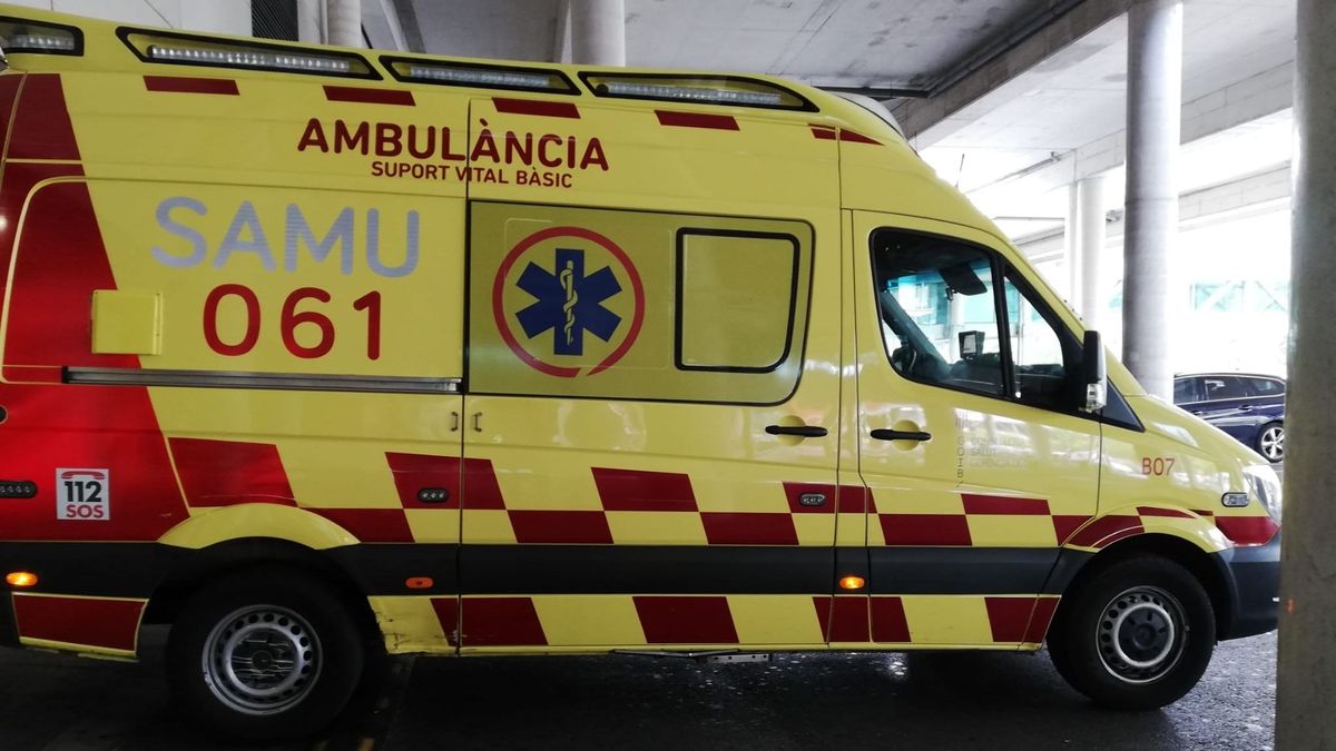 Heridas cuatro jóvenes al caer de 4 metros en Mallorca: cedió una barrera en la que estaban apoyadas