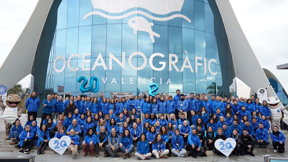 El Oceanogràfic de Valencia, el mayor complejo marino de Europa, celebra su 20º aniversario