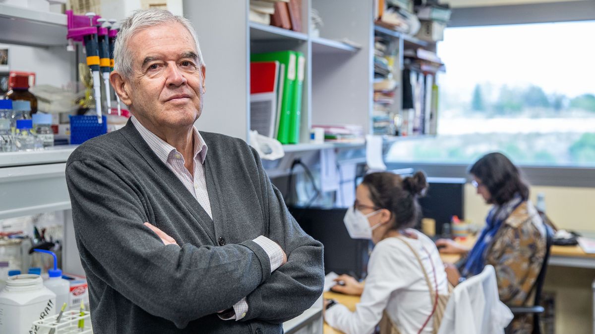 Jesús Ávila, el experto en alzhéimer que quiere ‘rejuvenecer’ el cerebro con un fármaco nasal: "Envejecer ya no es irreversible"