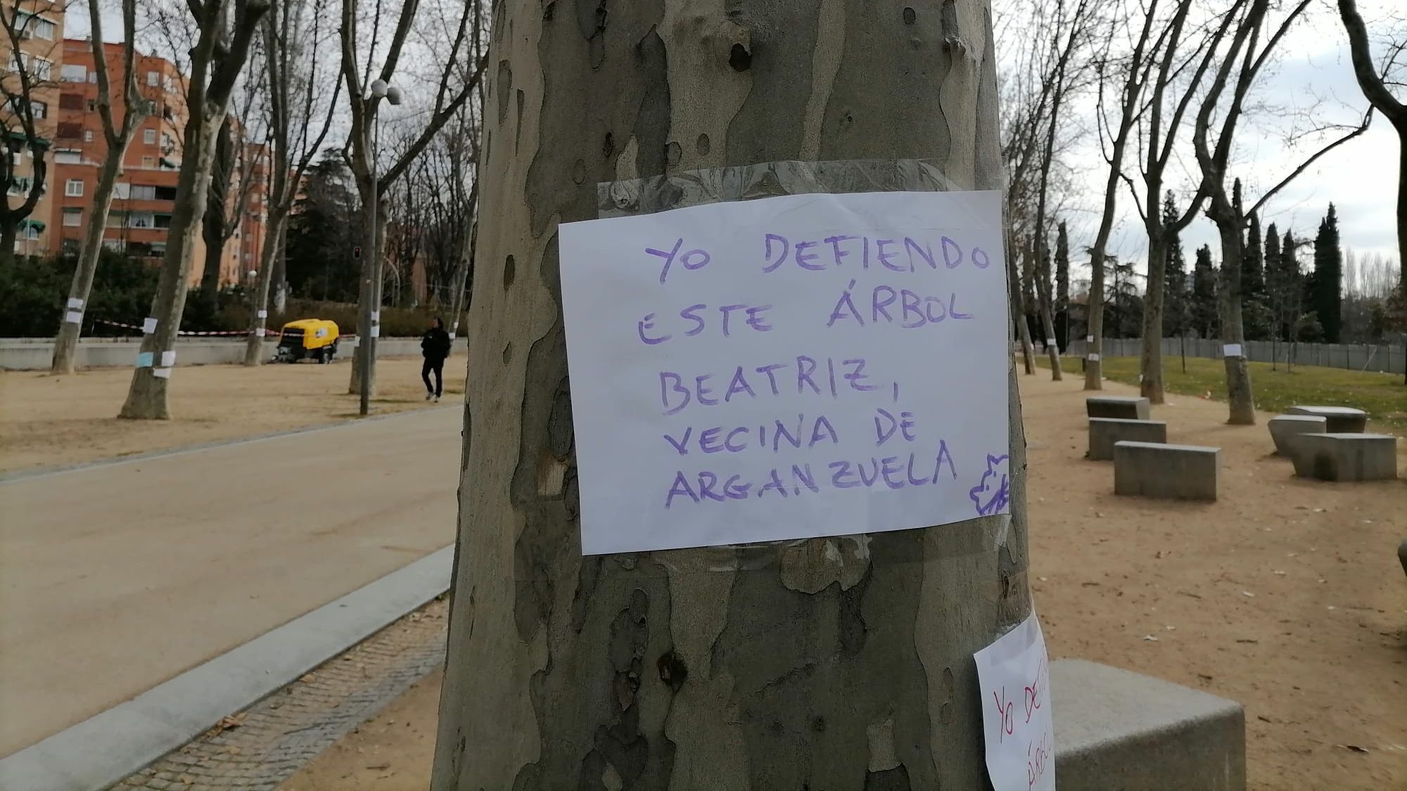 La tala de mil árboles en Madrid Río moviliza a la izquierda contra el  alcalde - NIUS