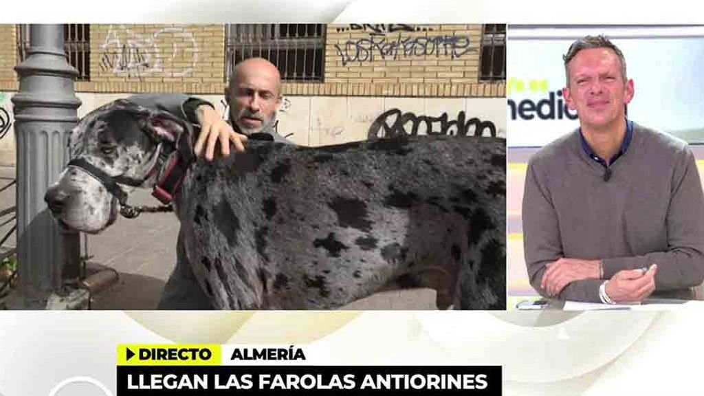 Almería estrena las primeras farolas antiorines de perros