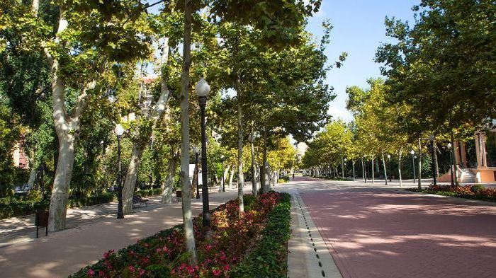 La brutal agresión a la mujer ocurrieron en el parque de Castellón la madrugada del fin de semana pasado.