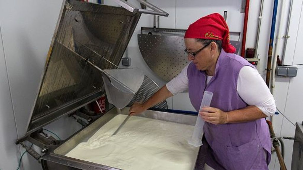 MADRID, SPAIN - NOVEMBER 11: The entrepreneur Concha preparing the milk for processing at La Caperuza cheese factory, on November 9, 2022, in Bustarviejo, Madrid, Spain. La Caperuza is a project of two enterprising women, Concha and Laura, and combines two traditional trades, grazing livestock and artisanal processing in a small cheese factory. The milk they use to produce their products comes from their own livestock, where they raise Malaga breed goats extensively, that is, they go out to graze daily in the valley of Bustarviejo. (Photo By Rafael Bastante/Europa Press via Getty Images)