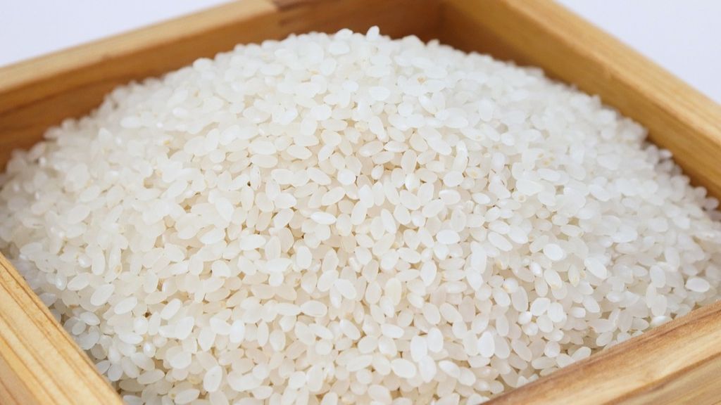 rice gadf3f0e55 1280