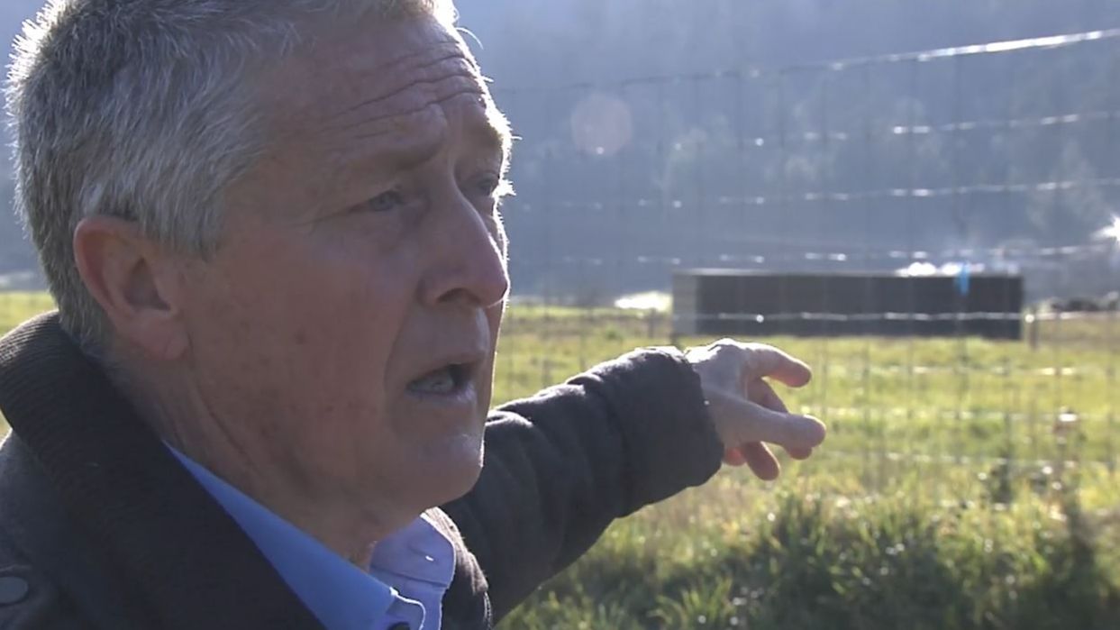 Unos cerdos y su olor frustran el idílico sueño de una pareja de australianos en Lugo