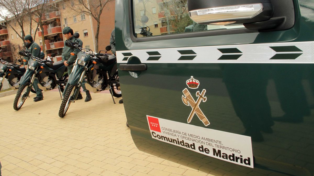 Vehículos Del Seprona
