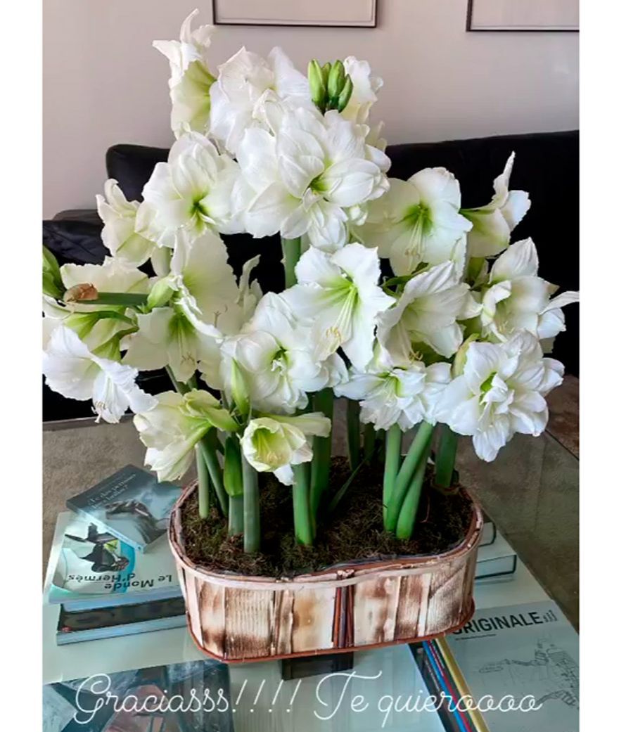 flores makoke