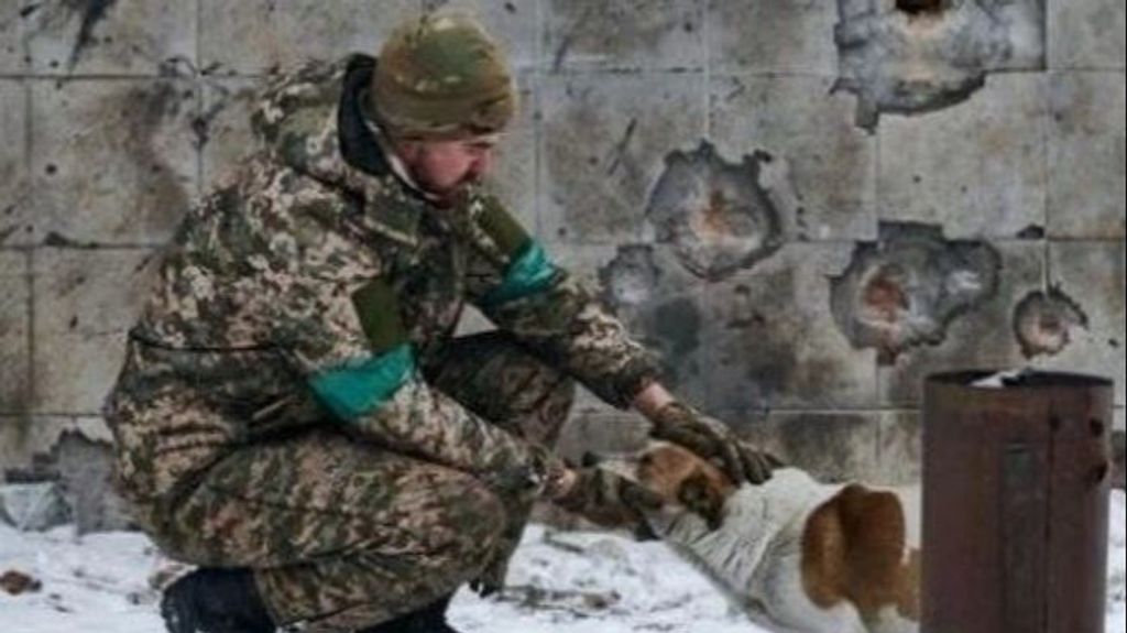 Un soldado acaricia a un perro en Ucrania en plena guerra