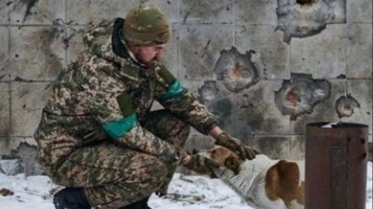 Un soldado acaricia a un perro en Ucrania en plena guerra