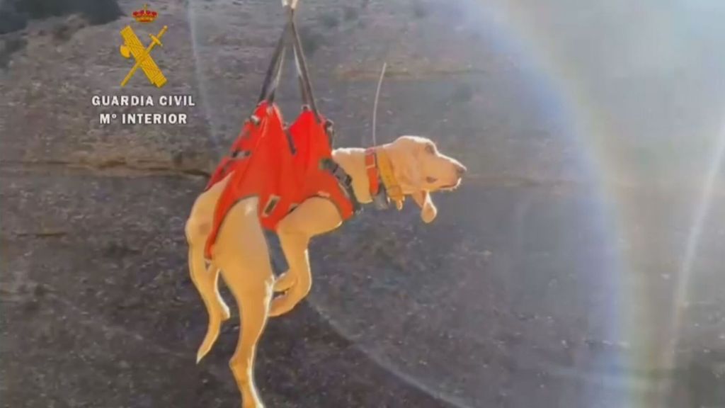 Haciendo rapel y con un arnés: salvan a un perro atrapado en un barranco de la sierra de Guara, en Huesca