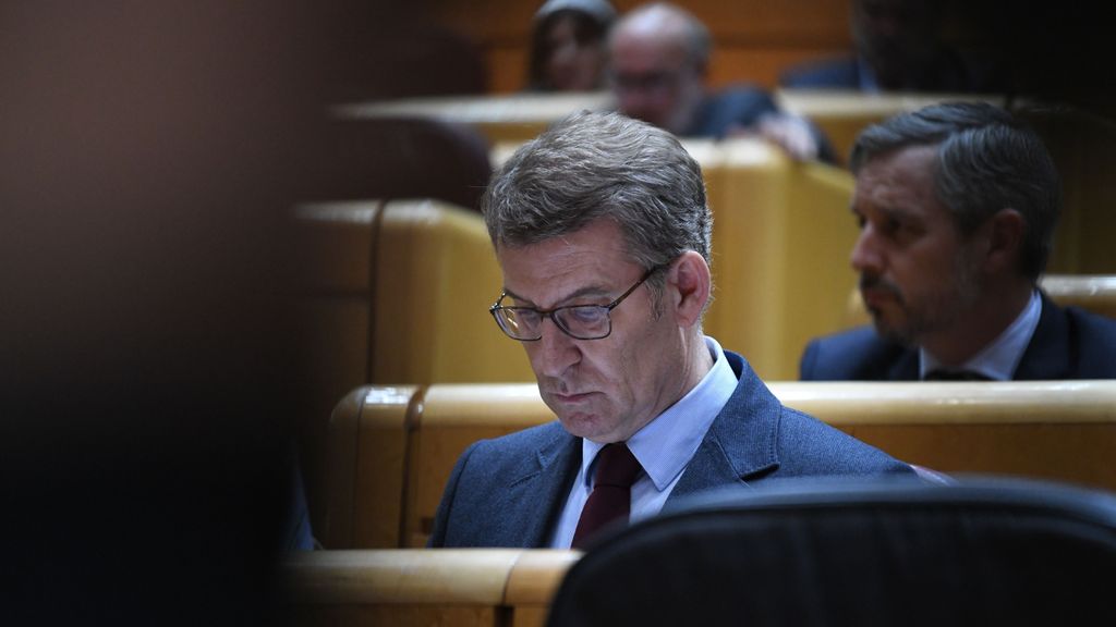 El presidente del PP, Alberto Núñez Feijóo, en la sesión de control al Gobierno en el Senado