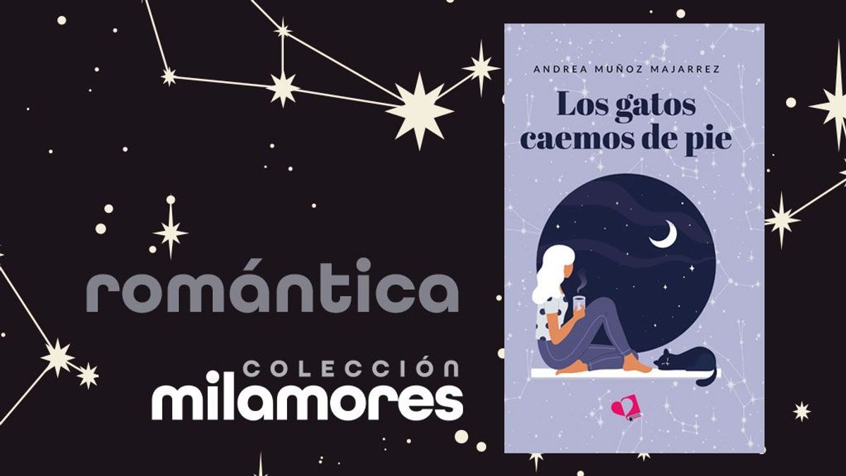 LOS GATOS CAEMOS DE PIE LIBRO