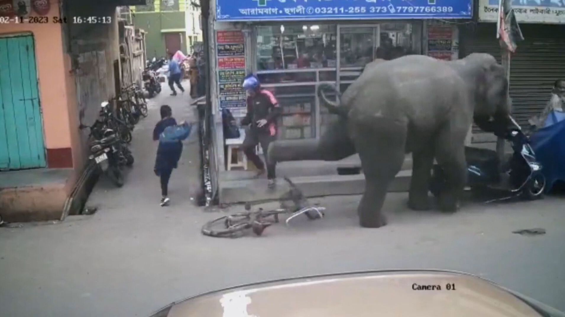 Susto en India ante el ataque de un elefante en plena calle