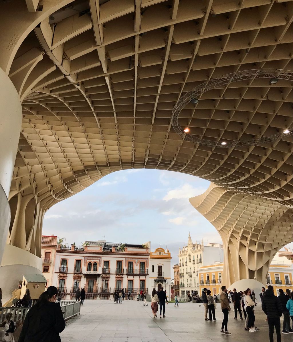 Setas de Sevilla