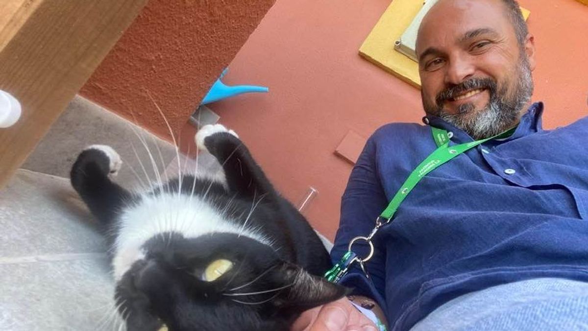 La historia de Nonita, la gata perdida que encontró a su familia tras un año en casa del alcalde de Los Barrios