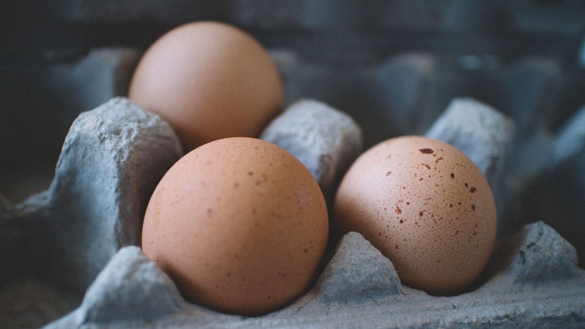 Cuál es la diferencia entre los huevos camperos y los ecológicos