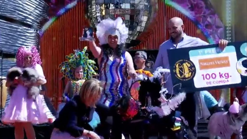 El caniche Chanel triunfa en el carnaval canino de Las Palmas con la fantasía 'Platinium'