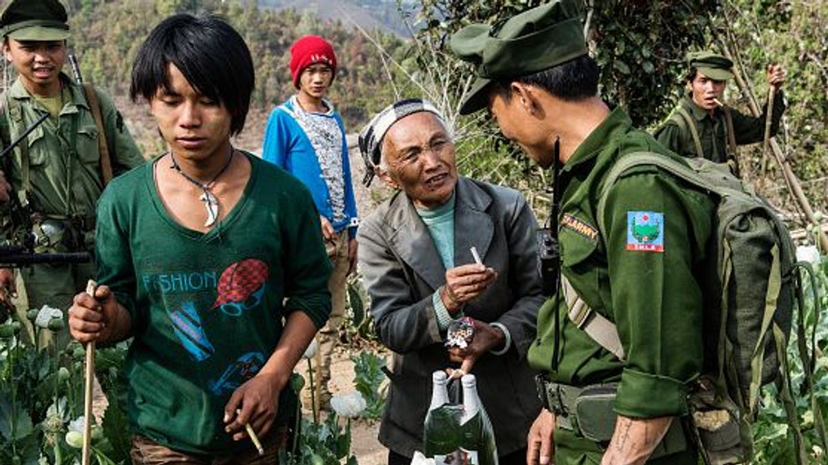 Imagen de archivo de plantaciones de Opio en Birmania