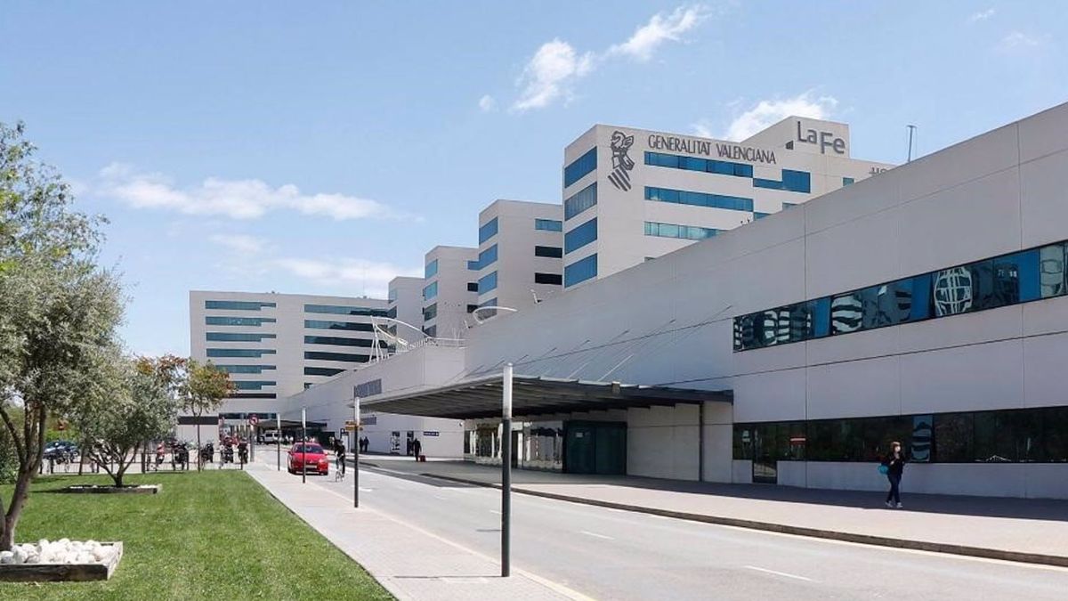 Hospital La Fe