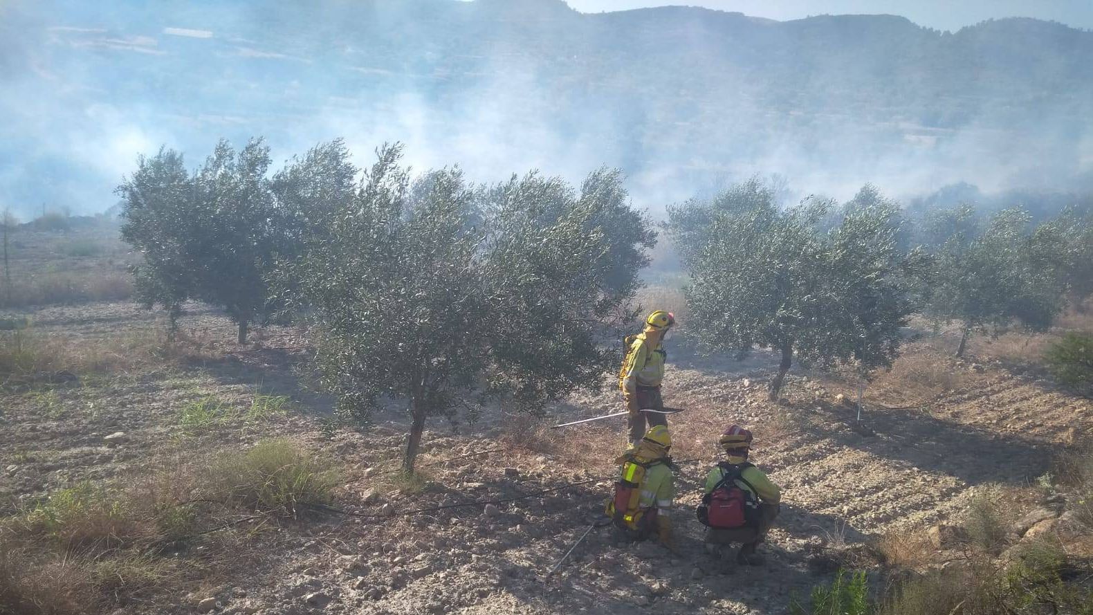 Bomberos forestales de Valencia
