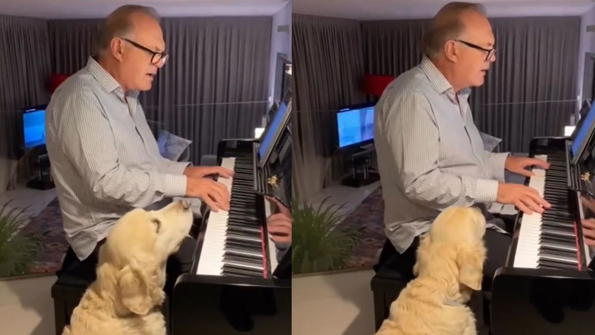 Pedro Piqueras tocando el piano junto a su perra.