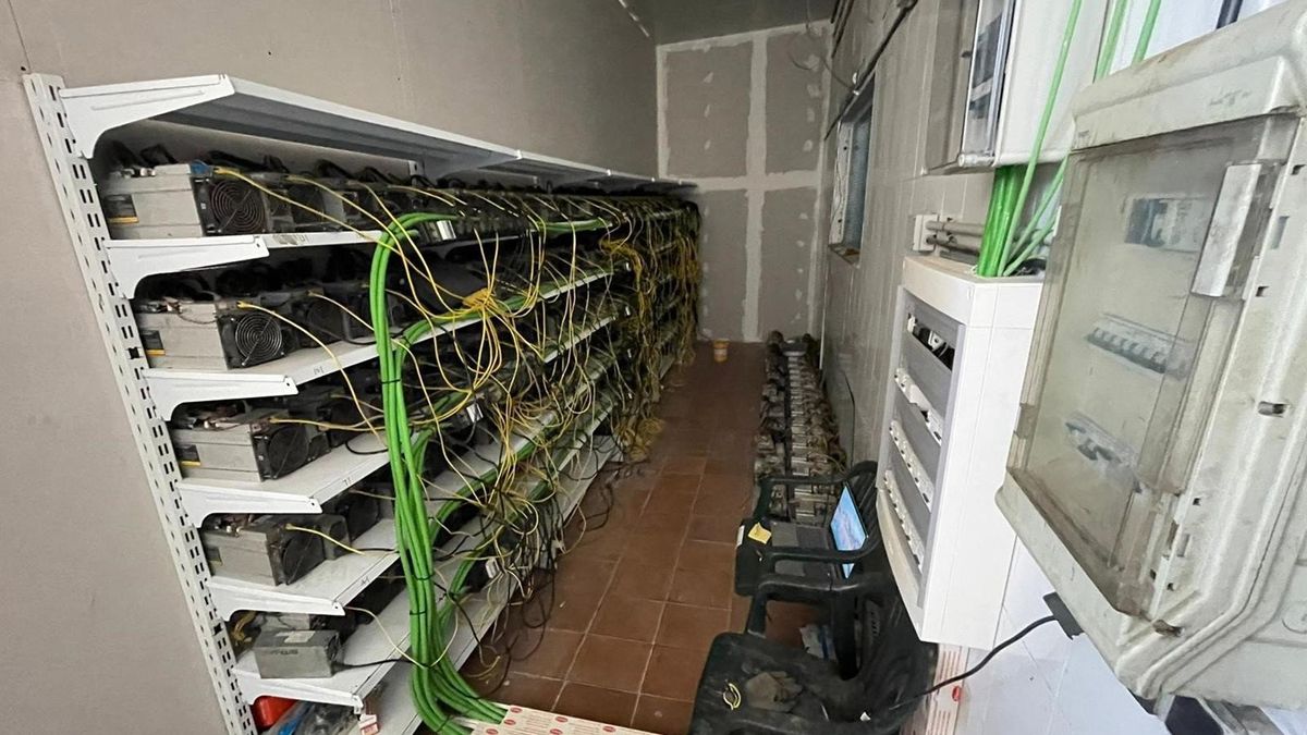 La granja de criptomonedas desmantelada estaba formada por 380 mineros, conectados de manera fraudulenta a la red eléctrica La granja de criptomonedas desmantelada estaba formada por 380 mineros, conectados de manera fraudulenta a la red eléctrica