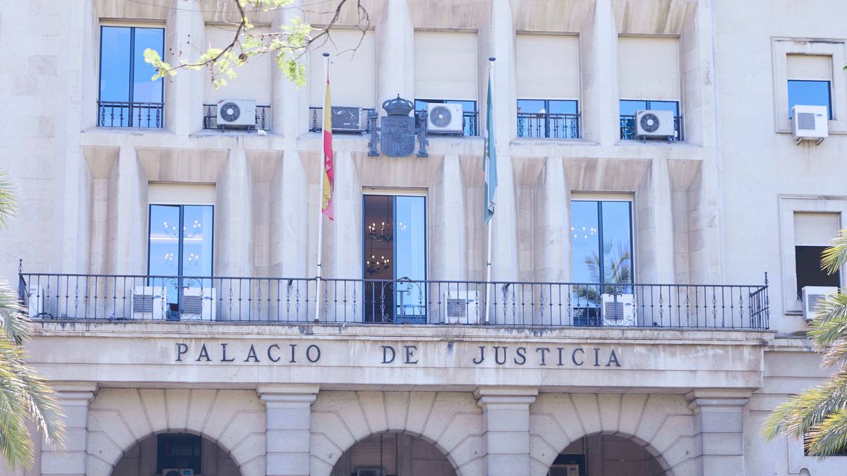 Detalle de la fachada principal de la Audiencia Provincial de Sevilla Detalle de la fachada principal de la Audiencia Provincial de Sevilla