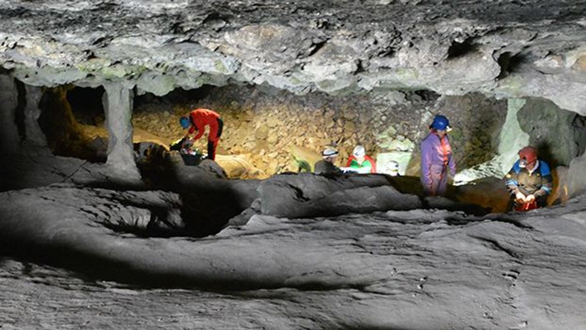 Hallado en una cueva de Granada el ADN más antiguo de la Península