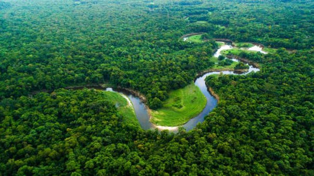 Vista aérea del Amazonia.