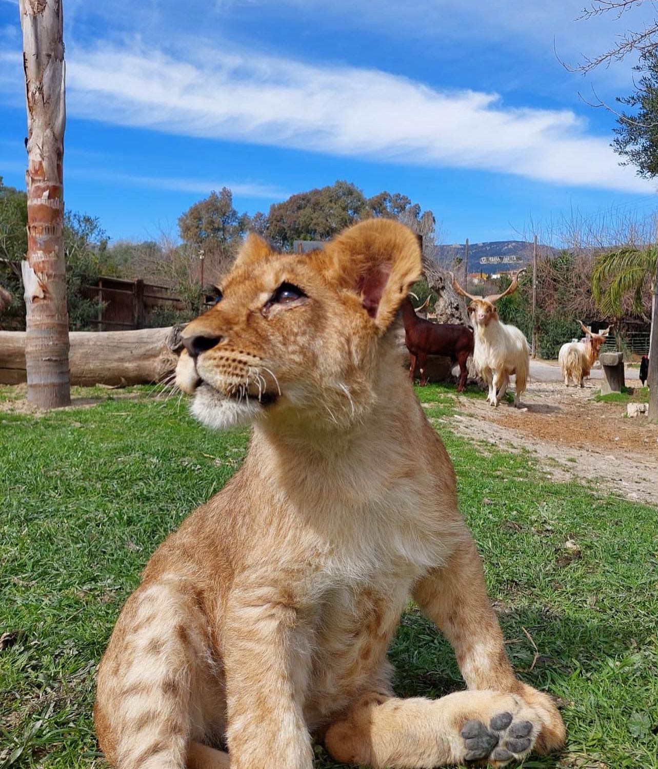 WhatsApp Image 2023 03 02 at 11.04.21