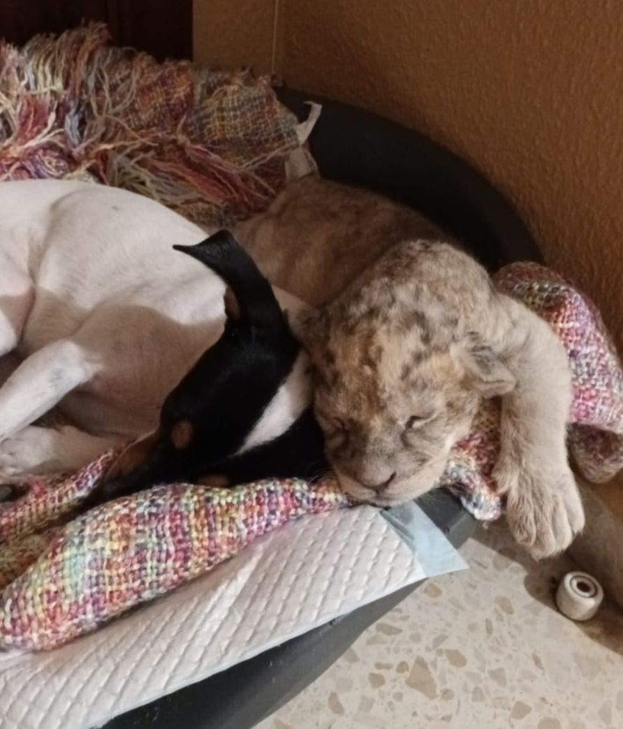 WhatsApp Image 2023 03 02 at 15.18.04