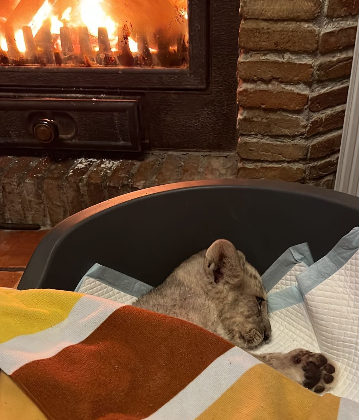 WhatsApp Image 2023 03 02 at 15.21.40