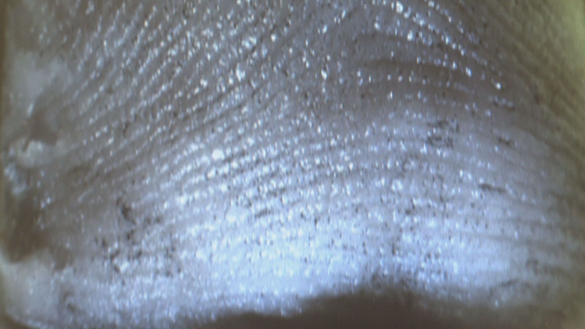 Las huellas dactilares y la evolución de las técnias para revelarlas, claves para resolver casos inconclusos