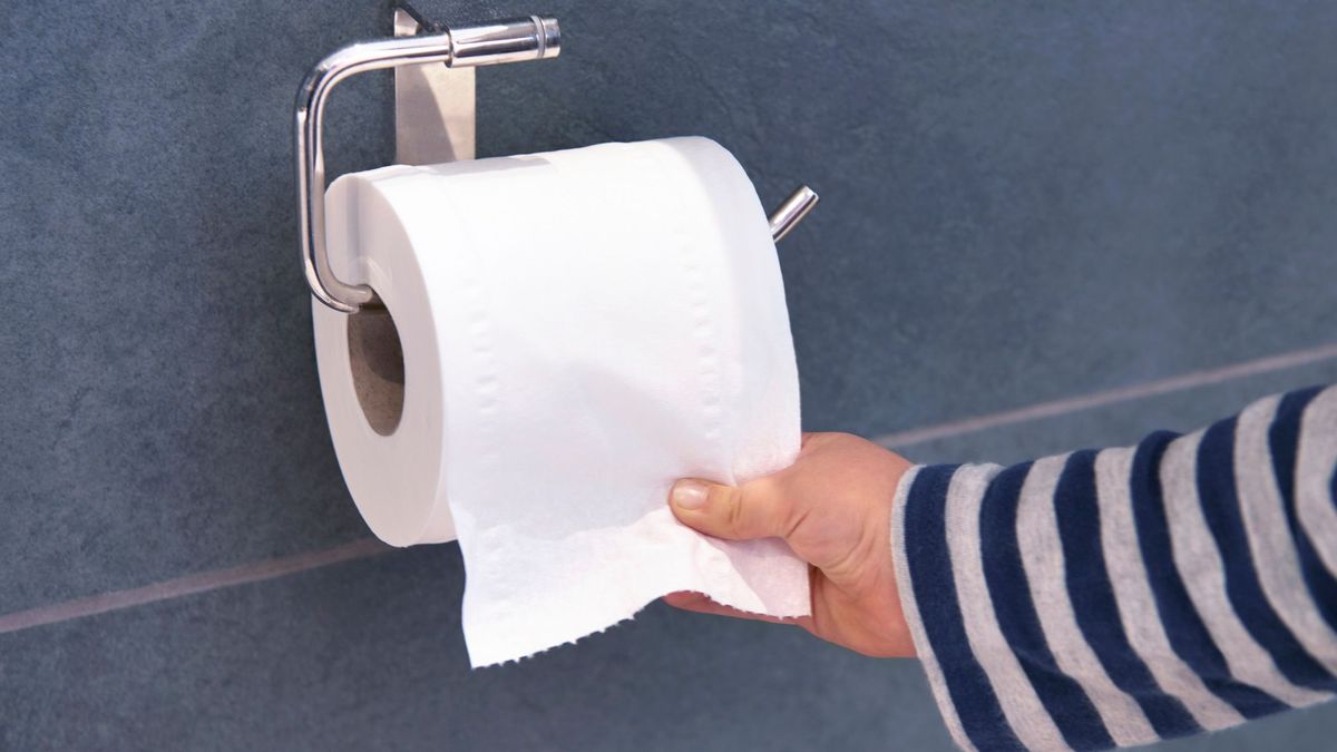 El papel higiénico contiene PFAS, según un estudio de la Universidad de Florida