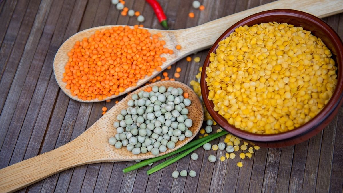 pulses g10e47336a 1280 pulses g10e47336a 1280