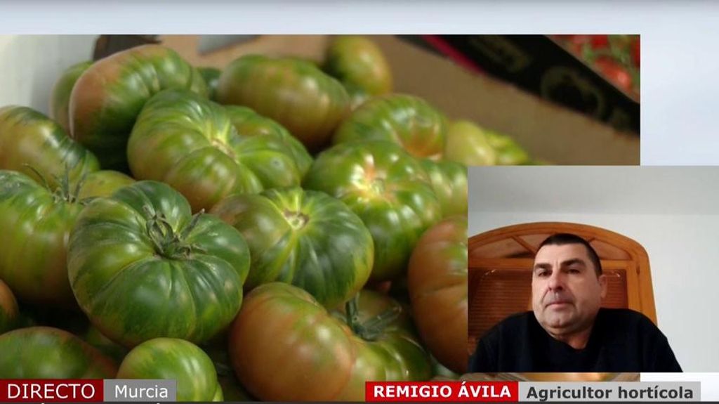 Un agricultor alerta de una posible escasez de tomates: “No podemos seguir produciendo a este ritmo”