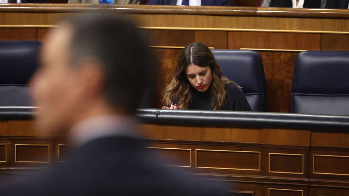 Pedro Sánchez interviene en un pleno del Congreso ante la ministra Irene Montero