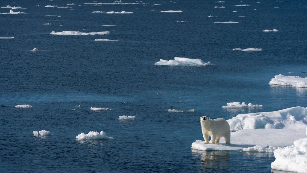 Deshielo ártico y clima extremo