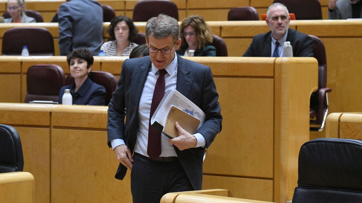 El presidente del PP, Alberto Núñez Feijóo, en el Senado