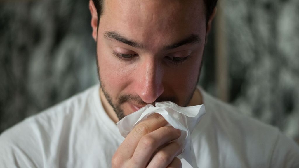Los virus respiratorios, afectados por la ola de calor en invierno