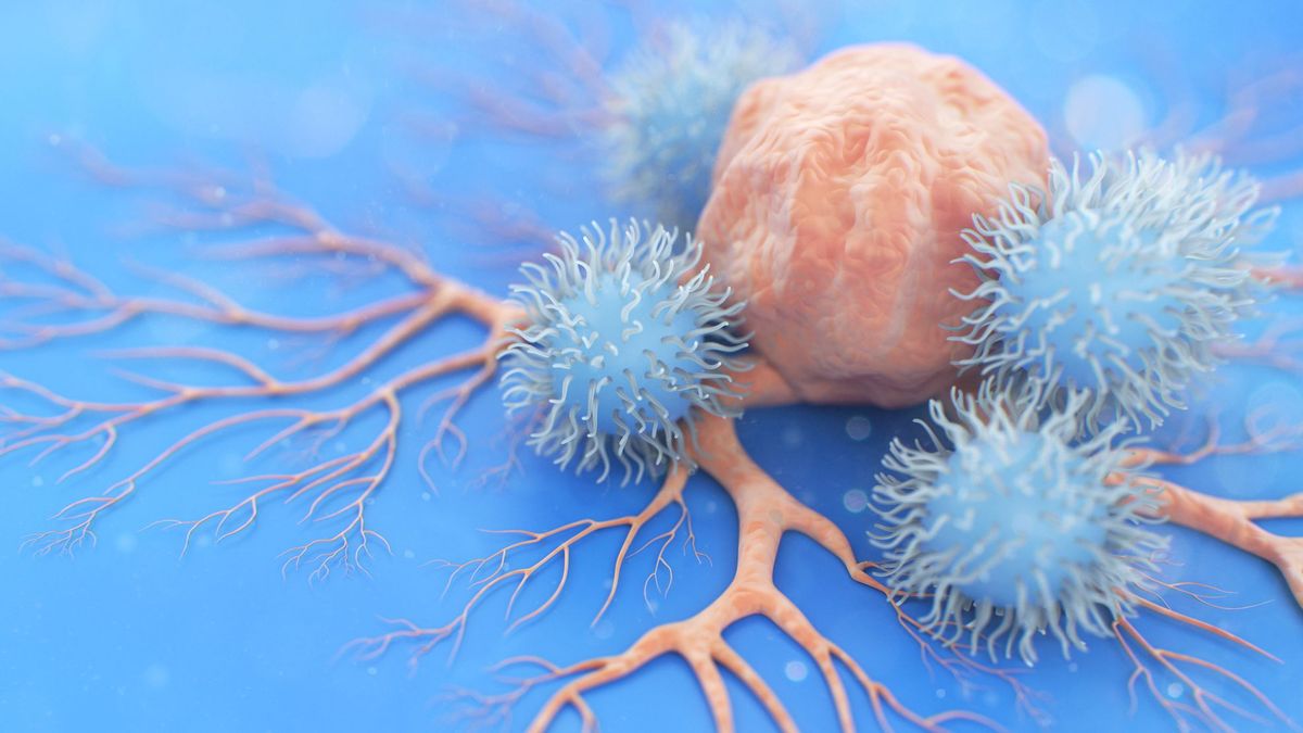 Virus que ayudan a combatir el cáncer y virus que lo "estimulan": ¿cuáles son y cómo actúan?